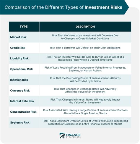 tsla investing risks